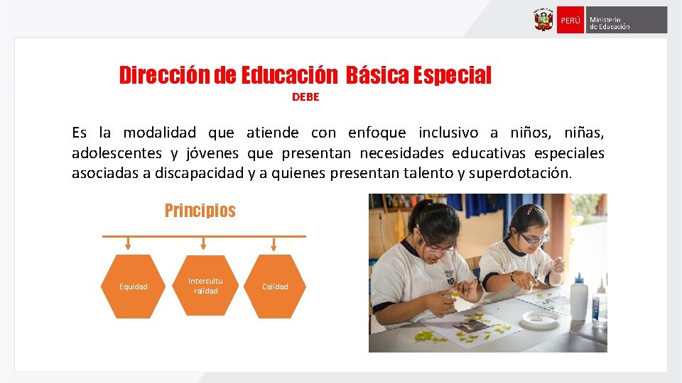 Dirección de Educación Básica Especial DEBE Es la modalidad que atiende con enfoque inclusivo Dirección de Educación Básica Especial DEBE Es la modalidad que atiende con enfoque inclusivo