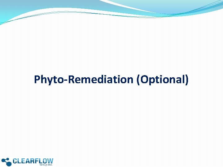 Phyto-Remediation (Optional) 