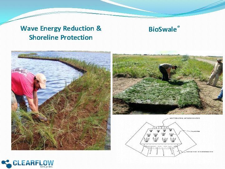 Wave Energy Reduction & Shoreline Protection Bio. Swale® 
