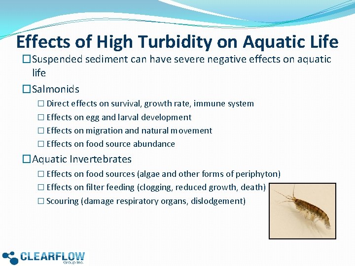 Effects of High Turbidity on Aquatic Life �Suspended sediment can have severe negative effects