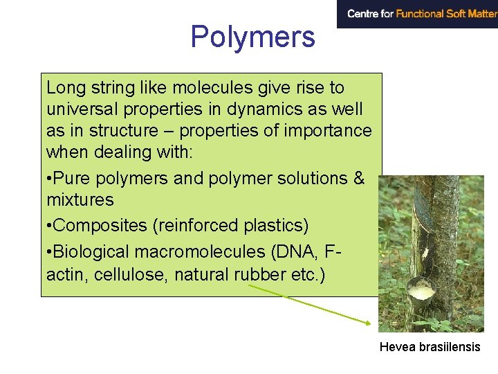 Polymers Long string like molecules give rise to universal properties in dynamics as well