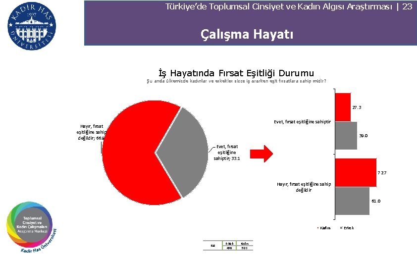 Türkiye’de Toplumsal Cinsiyet ve Kadın Algısı Araştırması | 23 Çalışma Hayatı İş Hayatında Fırsat