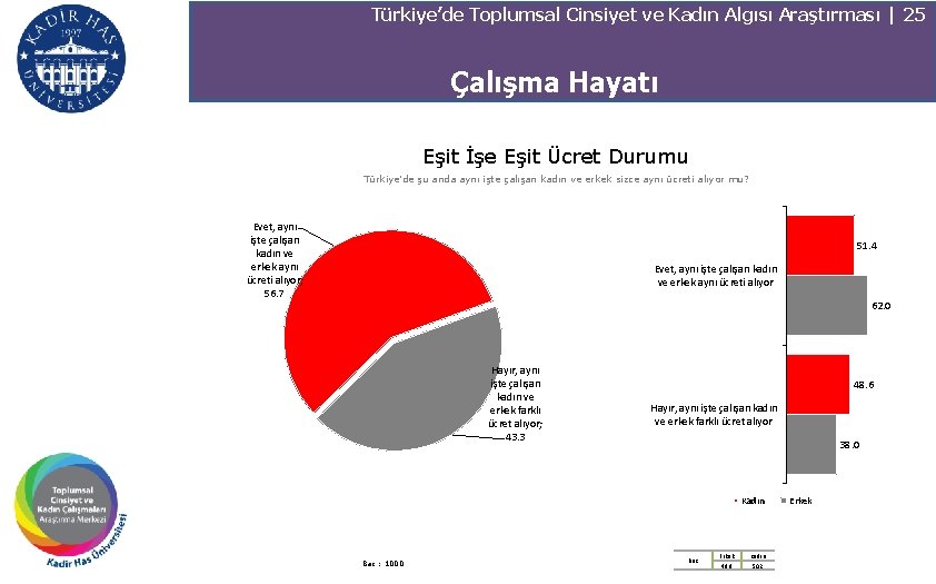 Türkiye’de Toplumsal Cinsiyet ve Kadın Algısı Araştırması | 25 Çalışma Hayatı Eşit İşe Eşit