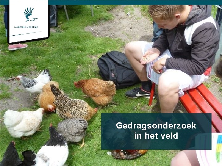 Gedragsonderzoek in het veld 