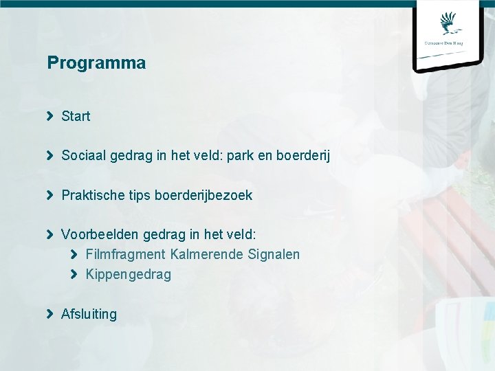 Programma Start Sociaal gedrag in het veld: park en boerderij Praktische tips boerderijbezoek Voorbeelden