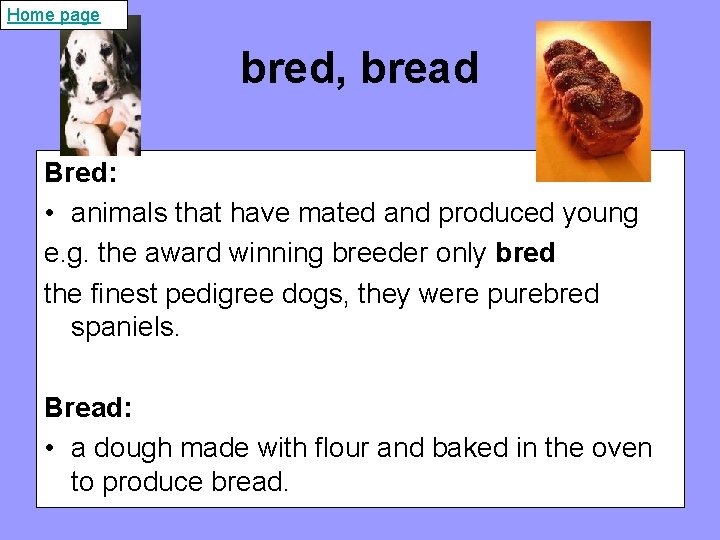 Home page bred, bread Bred: • animals that have mated and produced young e.