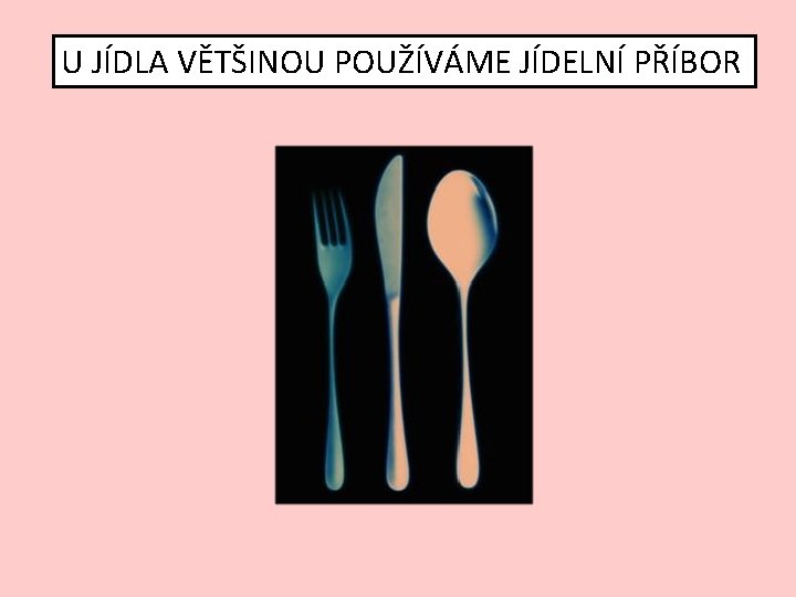 U JÍDLA VĚTŠINOU POUŽÍVÁME JÍDELNÍ PŘÍBOR 