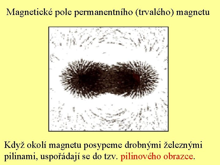 Magnetické pole permanentního (trvalého) magnetu Když okolí magnetu posypeme drobnými železnými pilinami, uspořádají se