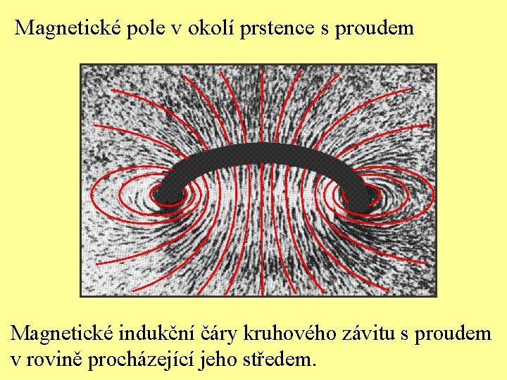 Magnetické pole v okolí prstence s proudem Magnetické indukční čáry kruhového závitu s proudem