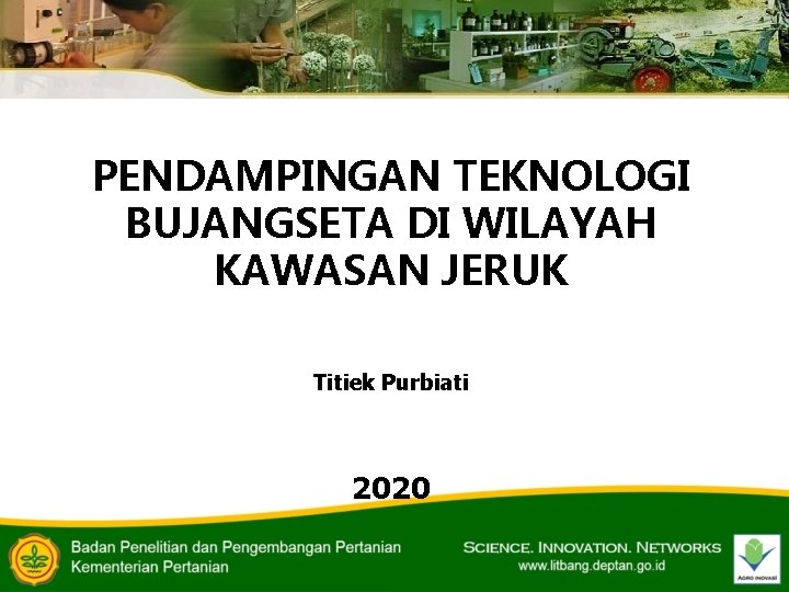 PENDAMPINGAN TEKNOLOGI BUJANGSETA DI WILAYAH KAWASAN JERUK Titiek Purbiati 2020 