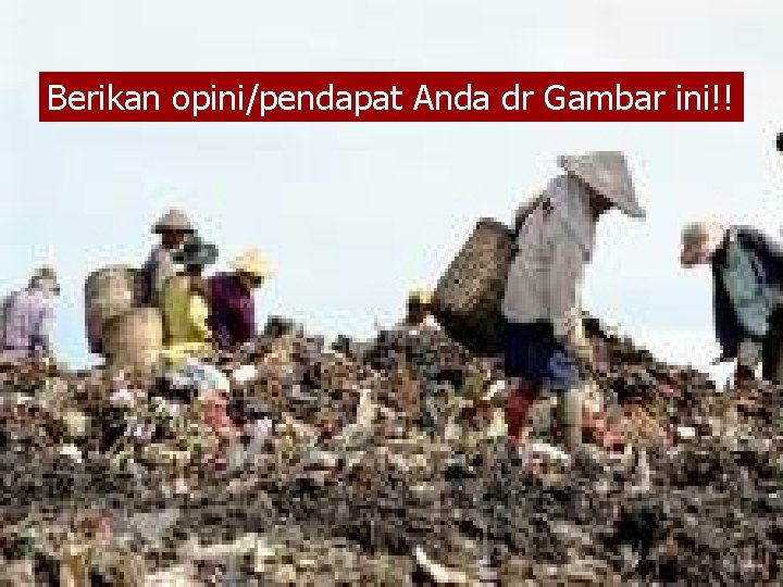 Berikan opini/pendapat Anda dr Gambar ini!! 