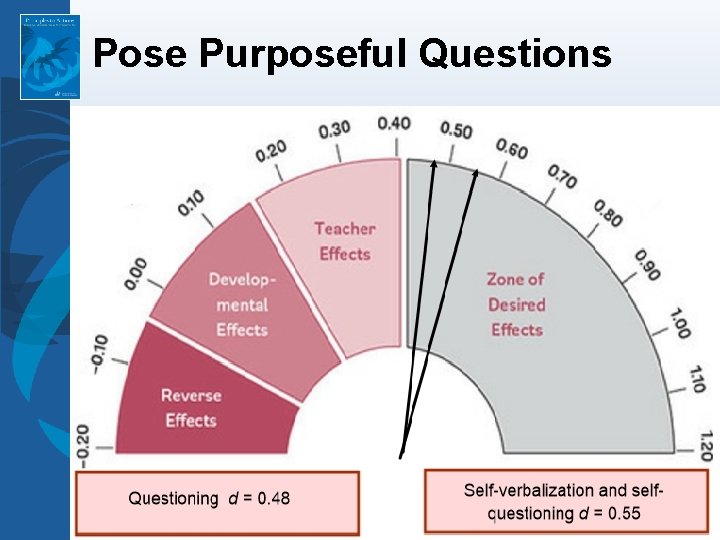 Pose Purposeful Questions 