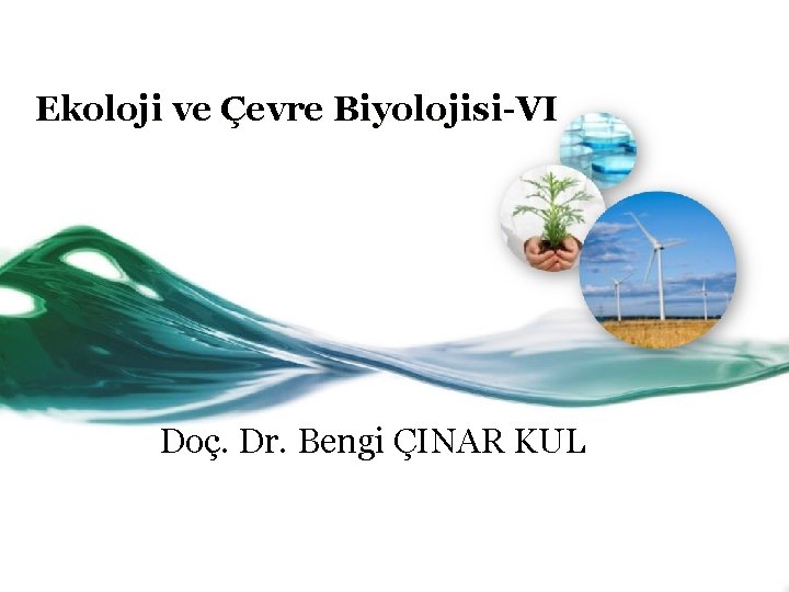 Ekoloji ve Çevre Biyolojisi-VI Doç. Dr. Bengi ÇINAR KUL 