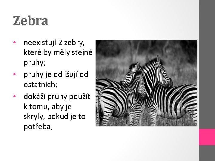 Zebra • neexistují 2 zebry, které by měly stejné pruhy; • pruhy je odlišují