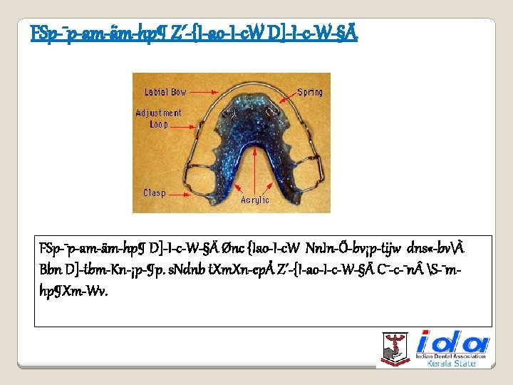 Public Dental Health Education 10 Teeth V Tooth