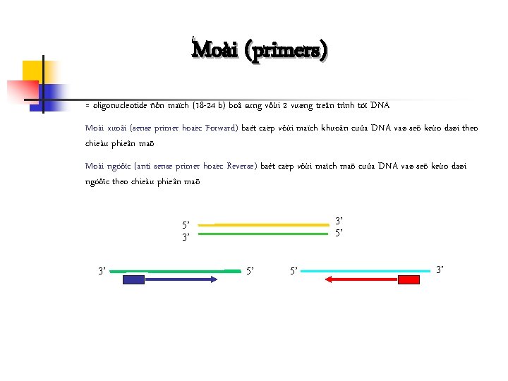 Moài (primers) = oligonucleotide ñôn maïch (18 -24 b) boå sung vôùi 2 vuøng