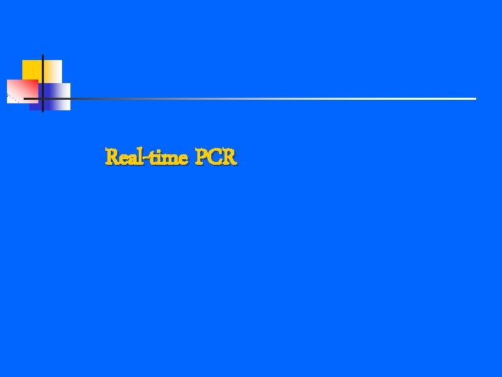 Real-time PCR 