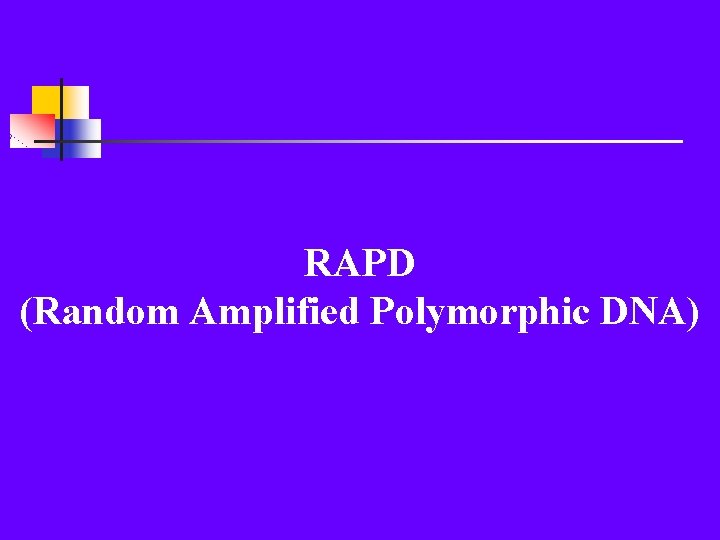 RAPD (Random Amplified Polymorphic DNA) 