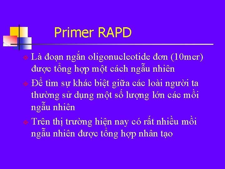 Primer RAPD Là đoạn ngắn oligonucleotide đơn (10 mer) được tổng hợp một cách