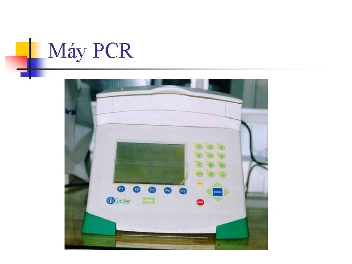Máy PCR 