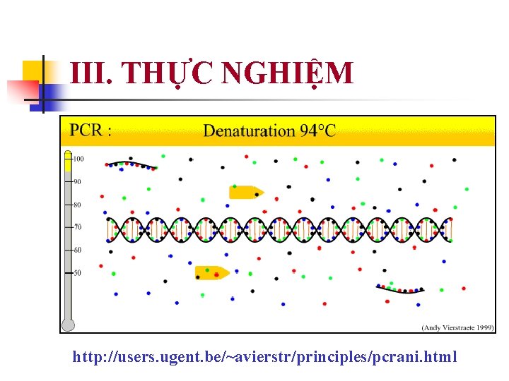 III. THỰC NGHIỆM http: //users. ugent. be/~avierstr/principles/pcrani. html 