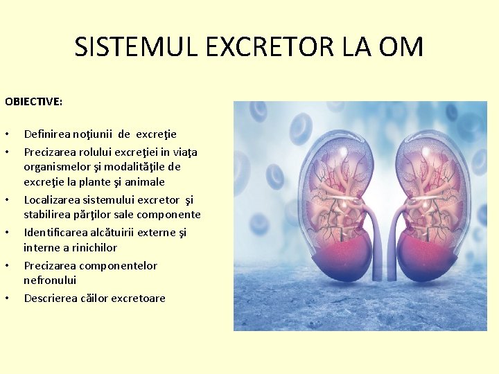 SISTEMUL EXCRETOR LA OM OBIECTIVE: • • • Definirea noţiunii de excreţie Precizarea rolului