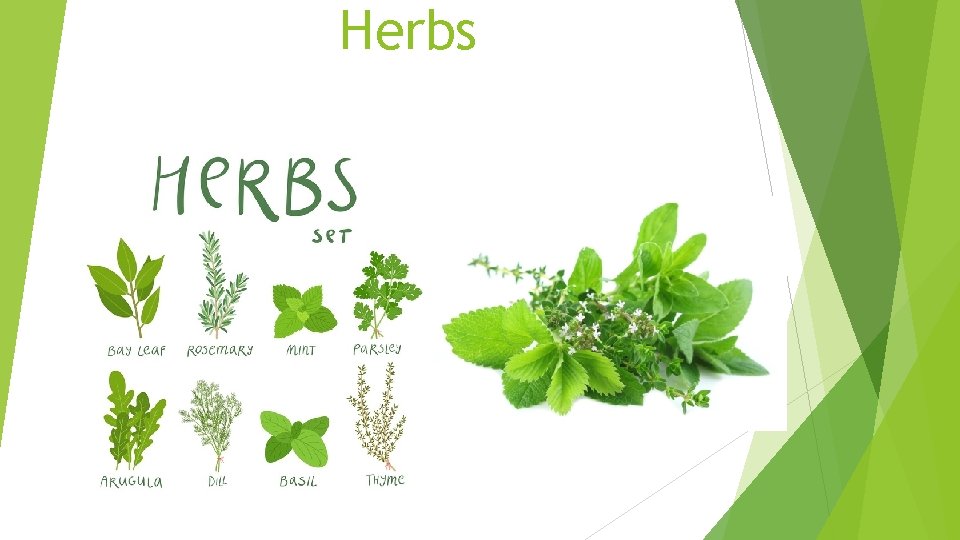 Herbs 