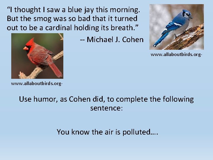 “I thought I saw a blue jay this morning. But the smog was so “I thought I saw a blue jay this morning. But the smog was so