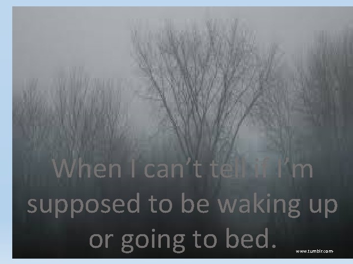 When I can’t tell if I’m supposed to be waking up or going to When I can’t tell if I’m supposed to be waking up or going to