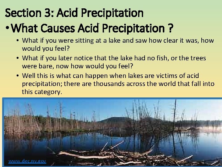 Section 3: Acid Precipitation • What Causes Acid Precipitation ? • What if you Section 3: Acid Precipitation • What Causes Acid Precipitation ? • What if you