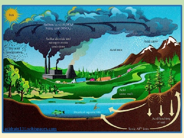acidrain 130. wikispaces. com acidrain 130. wikispaces. com