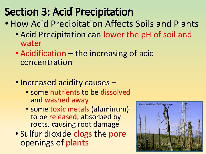 Section 3: Acid Precipitation • How Acid Precipitation Affects Soils and Plants • Acid Section 3: Acid Precipitation • How Acid Precipitation Affects Soils and Plants • Acid