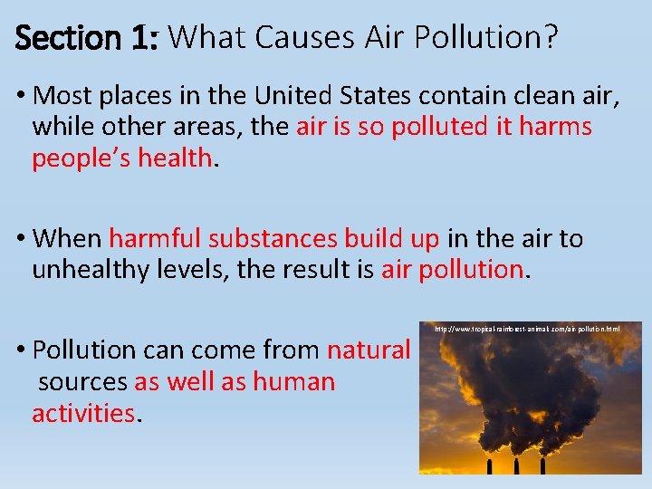 Section 1: What Causes Air Pollution? • Most places in the United States contain Section 1: What Causes Air Pollution? • Most places in the United States contain