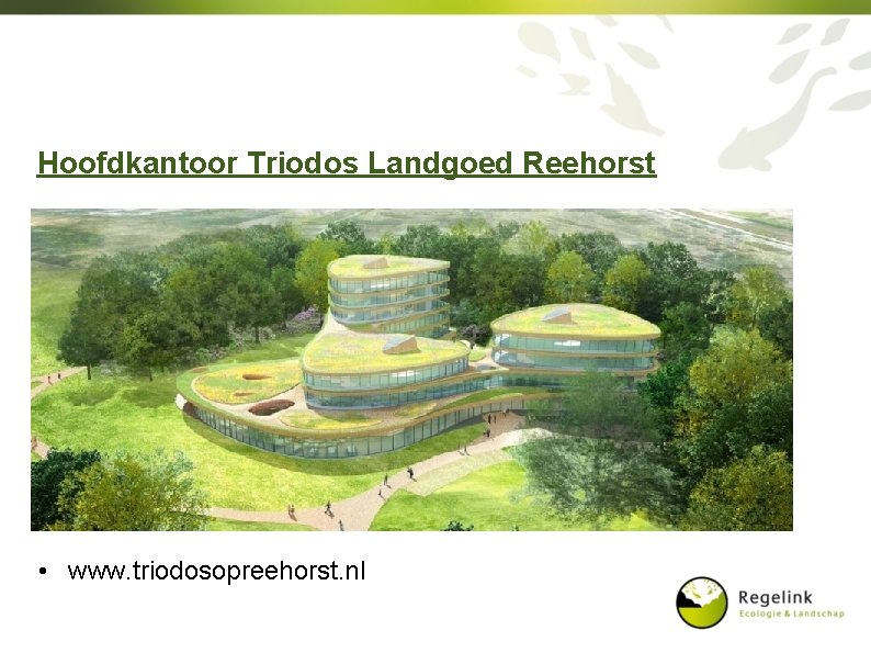 Hoofdkantoor Triodos Landgoed Reehorst • www. triodosopreehorst. nl 