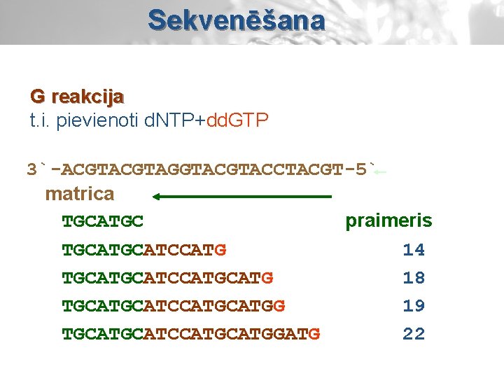 Sekvenēšana G reakcija t. i. pievienoti d. NTP+dd. GTP 3`-ACGTAGGTACCTACGT-5` matrica TGCATGC praimeris TGCATCCATG