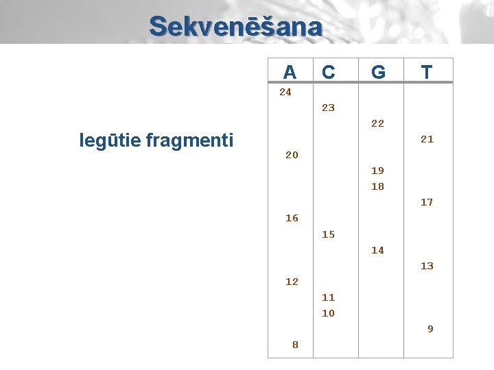 Sekvenēšana A C G T 24 23 Iegūtie fragmenti 22 21 20 19 18