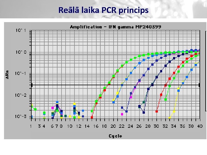 Reālā laika PCR princips 