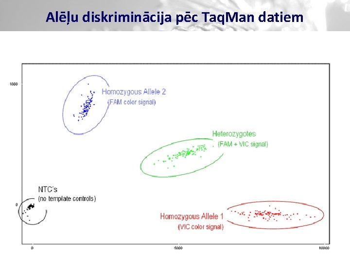 Alēļu diskriminācija pēc Taq. Man datiem 