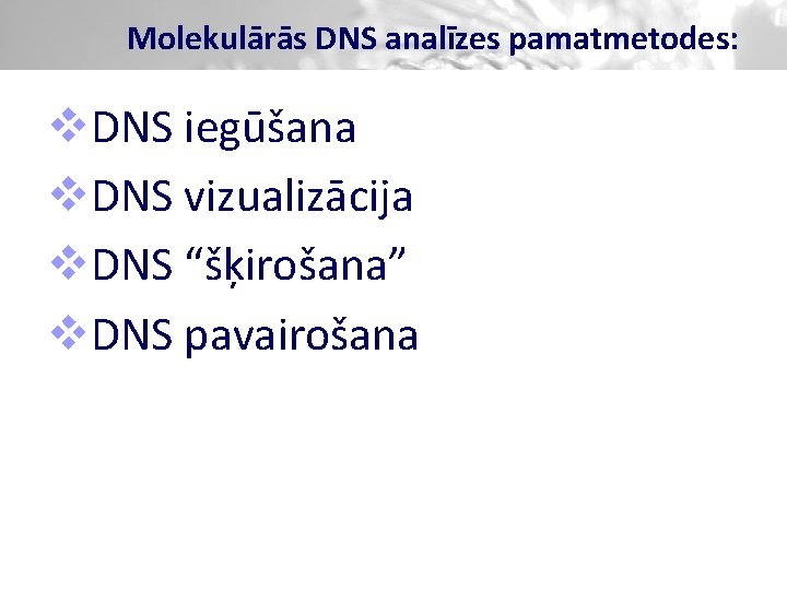 Molekulārās DNS analīzes pamatmetodes: v. DNS iegūšana v. DNS vizualizācija v. DNS “šķirošana” v.