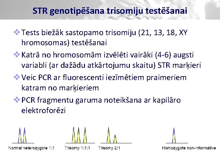 STR genotipēšana trisomiju testēšanai v Tests biežāk sastopamo trisomiju (21, 13, 18, XY hromosomas)