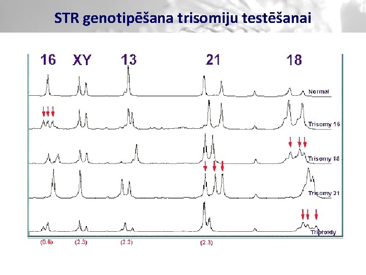 STR genotipēšana trisomiju testēšanai 