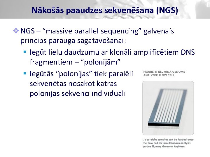 Nākošās paaudzes sekvenēšana (NGS) v NGS – “massive parallel sequencing” galvenais princips parauga sagatavošanai: