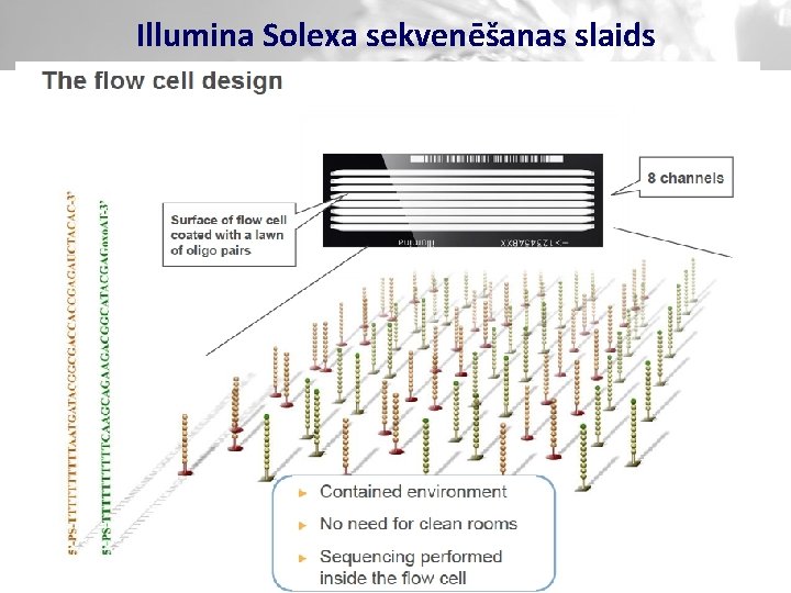 Illumina Solexa sekvenēšanas slaids 