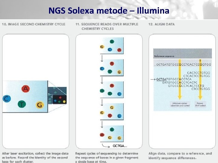 NGS Solexa metode – Illumina 