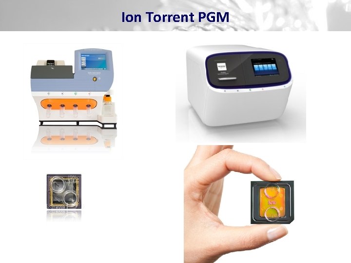 Ion Torrent PGM 
