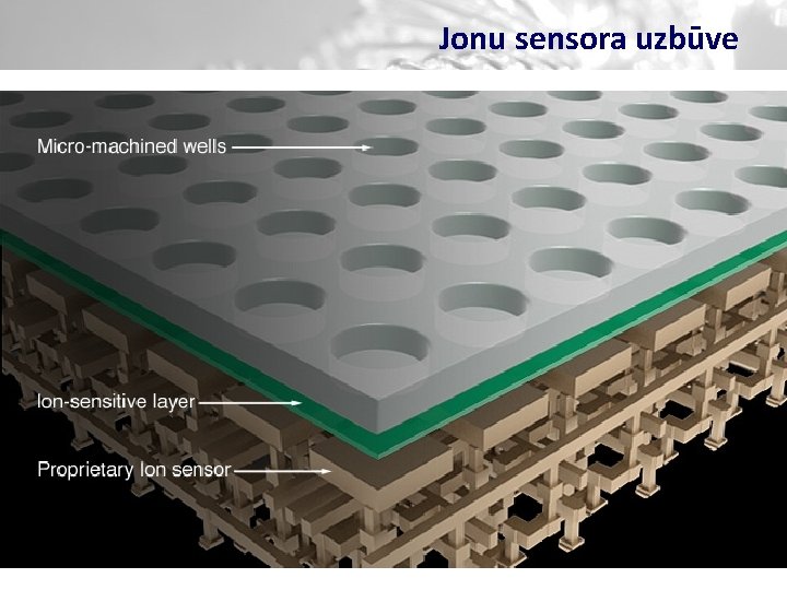 Jonu sensora uzbūve 