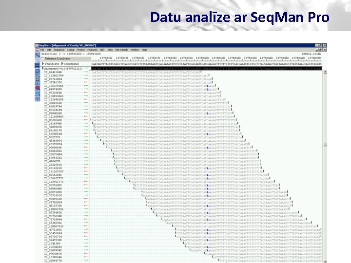 Datu analīze ar Seq. Man Pro 