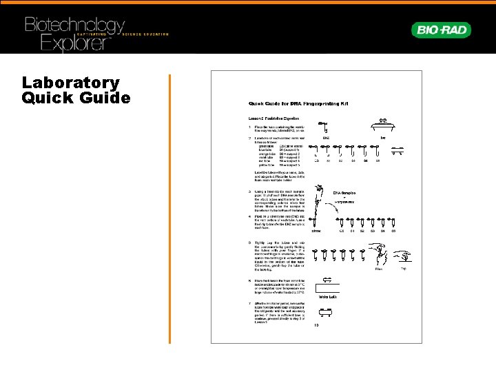 Laboratory Quick Guide 