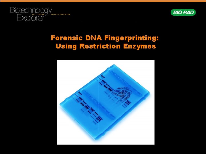 Forensic DNA Fingerprinting: Using Restriction Enzymes 