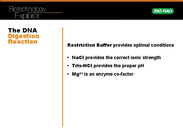 The DNA Digestion Reaction Restriction Buffer provides optimal conditions • Na. CI provides the